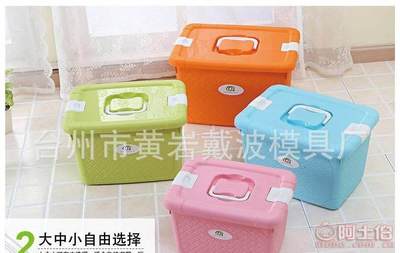 【一諾廠家直銷多彩簡約有蓋塑料糖果色手提收納箱多功能編織整理箱】臺州市黃巖戴波模具廠 - 產品庫